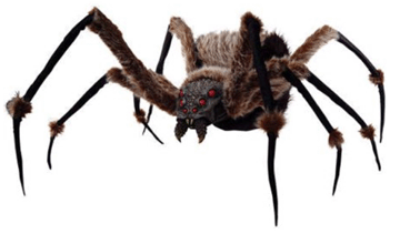 A Standard Spider